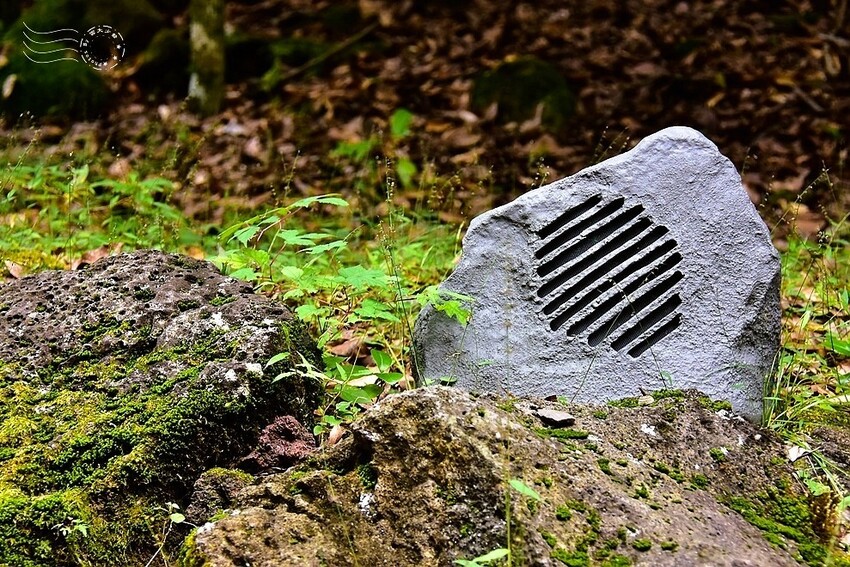 濟州島西歸浦【治癒之森】