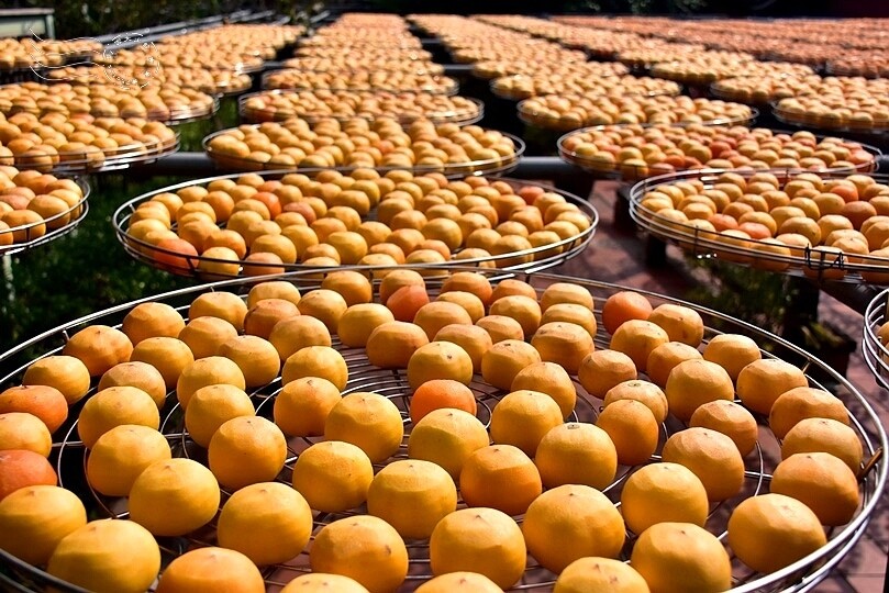 金漢柿餅教育農園