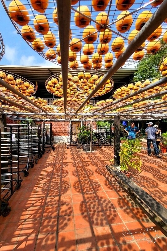 金漢柿餅教育農園