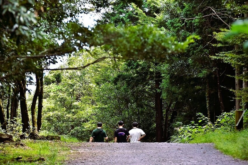 濟州島西歸浦【治癒之森】