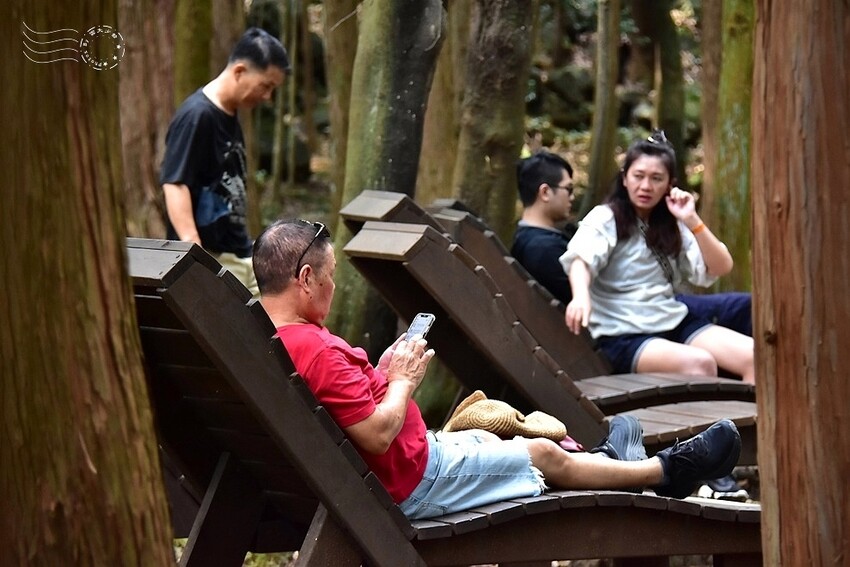 濟州島西歸浦【治癒之森】