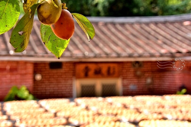 金漢柿餅教育農園