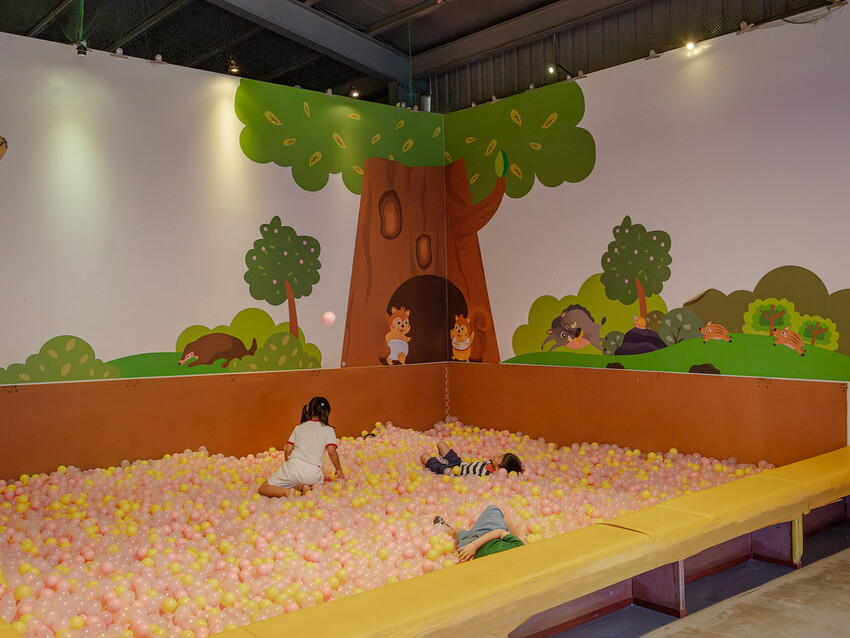 DSC00178-已增強-雜訊減少