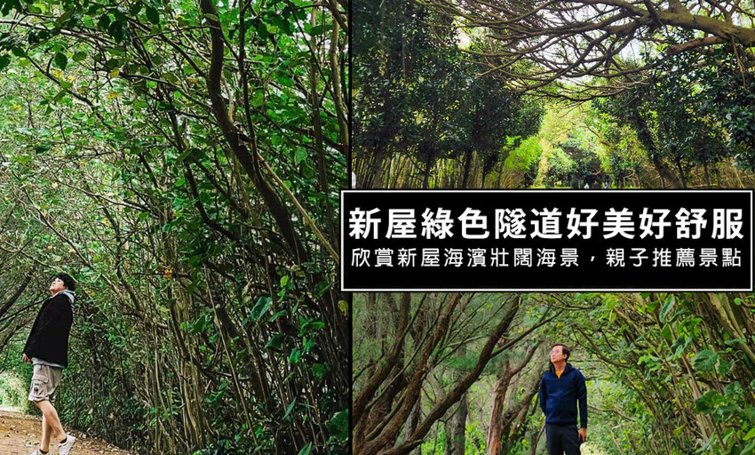 桃園市蘆竹區2024蘆竹大古山登山步道-蘆竹炫YA農遊季，百萬燈光造景，可看飛機欣賞夜景，每年期間限定!有免費停車場