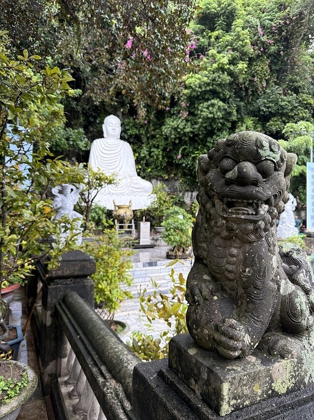 2024越南中越D5 峴港➯📸峴港大教堂|粉紅大教堂➯📸AP