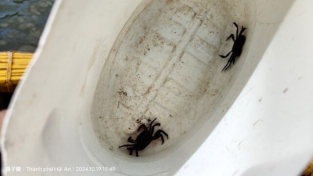 2024越南中越D3 會安➯📸美山聖地｜越南小吳哥窟➯📸迦南