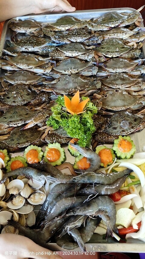 2024越南中越D3 會安➯📸美山聖地｜越南小吳哥窟➯📸迦南