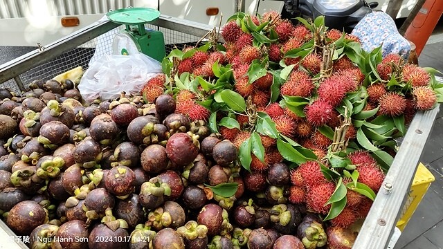2024 D1✈️桃園機場➯✈️峴港機場➯🚌順化➯📸啟定皇陵