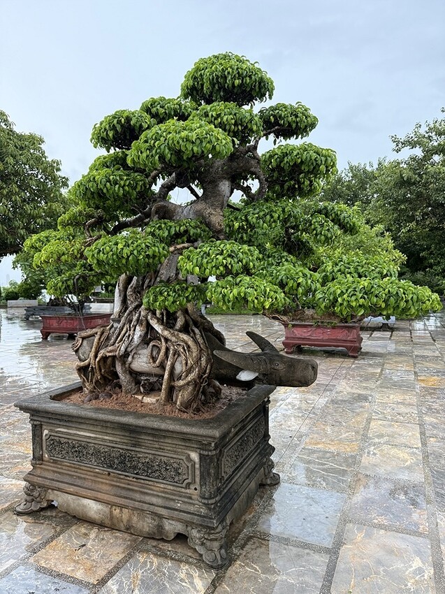 2024越南中越D5 峴港➯📸峴港大教堂|粉紅大教堂➯📸AP