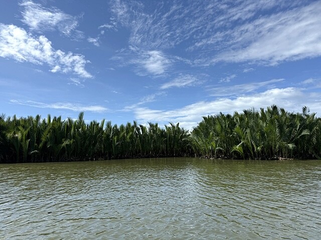 2024越南中越D3 會安➯📸美山聖地｜越南小吳哥窟➯📸迦南