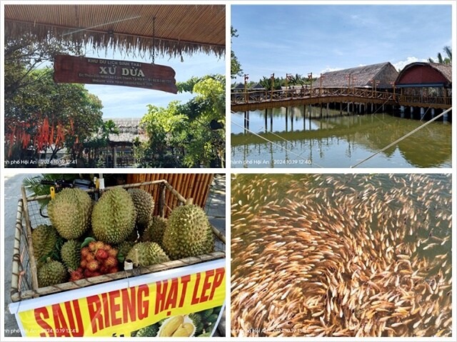 2024越南中越D3 會安➯📸美山聖地｜越南小吳哥窟➯📸迦南