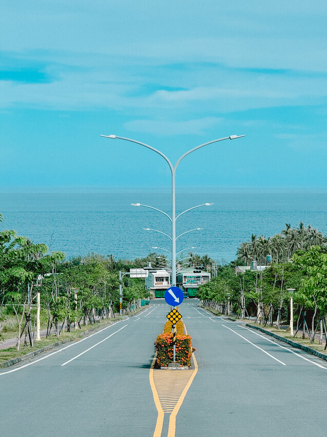 台東縣台東市太麻里金針花海