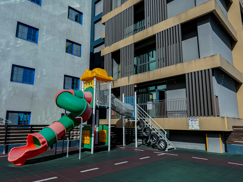 台東縣台東市太麻里金針花海