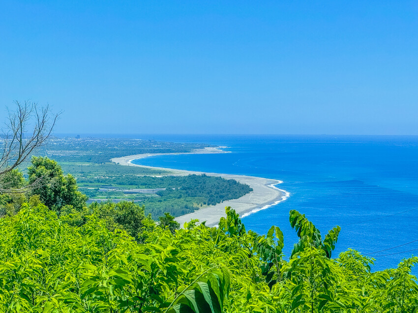 台東縣台東市太麻里金針花海