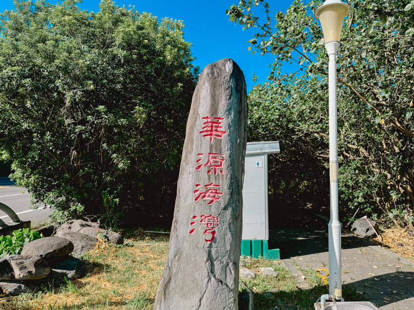 台東縣台東市太麻里金針花海