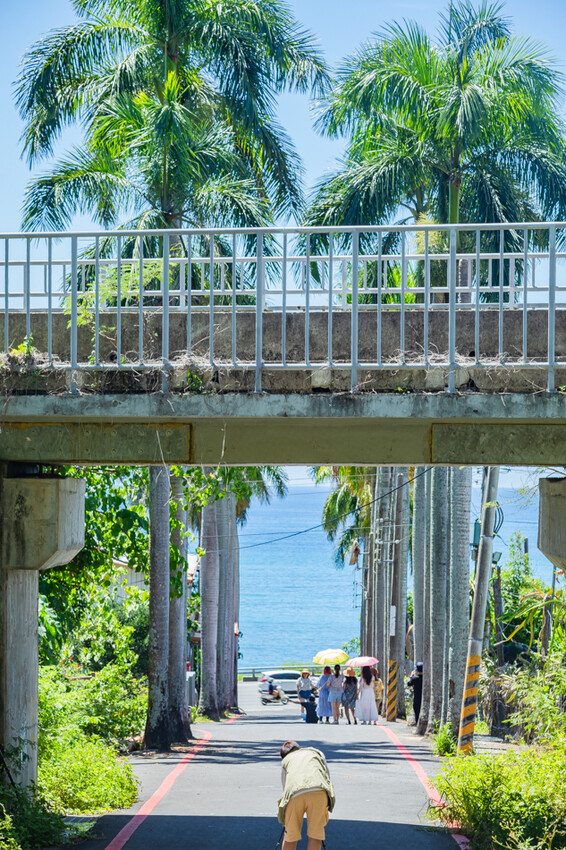 台東縣台東市太麻里金針花海