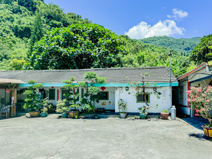 台東縣台東市太麻里金針花海