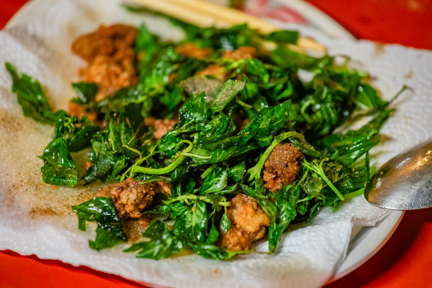 台東縣台東市太麻里金針花海