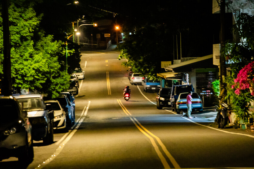 台東縣台東市太麻里金針花海