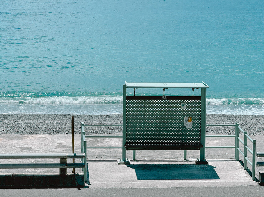 台東縣台東市太麻里金針花海