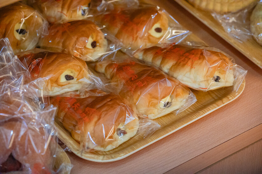 台東縣台東市太麻里金針花海