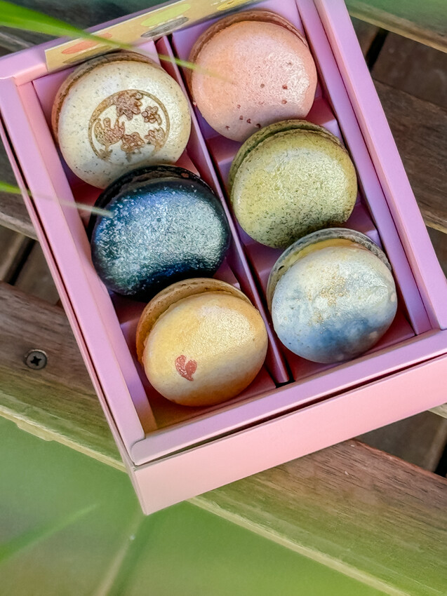 台東縣台東市太麻里金針花海