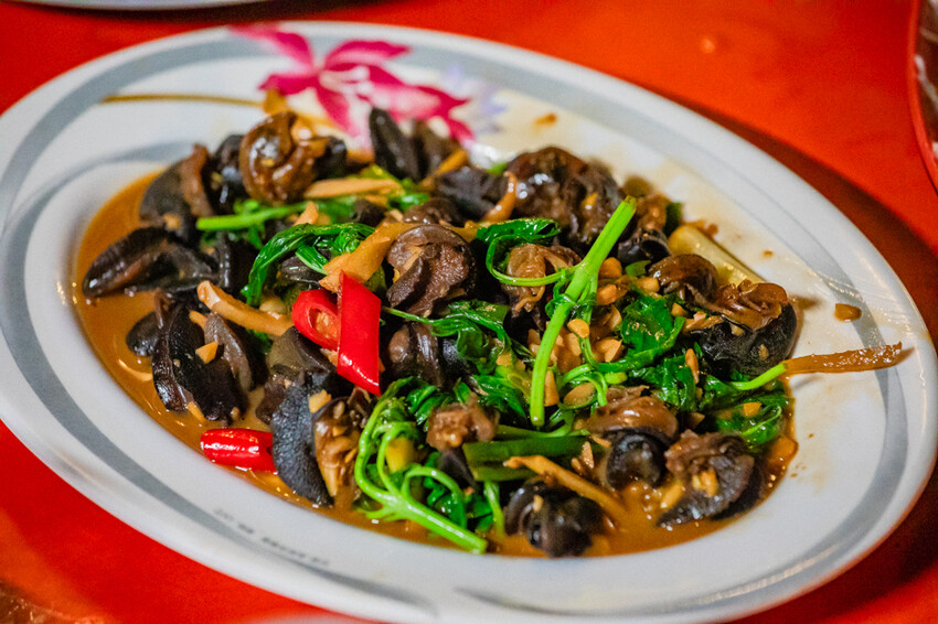 台東縣台東市太麻里金針花海