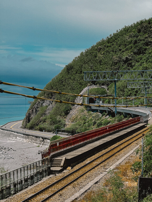 台東縣台東市太麻里金針花海