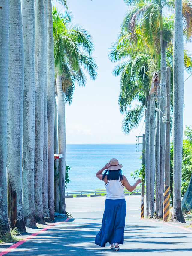 台東縣台東市太麻里金針花海