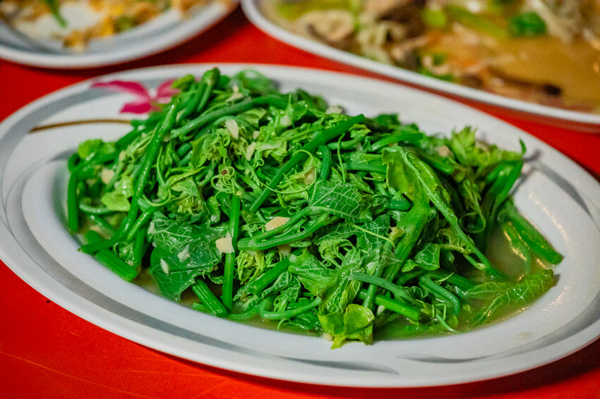 台東縣台東市太麻里金針花海