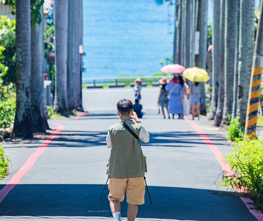 台東縣台東市太麻里金針花海