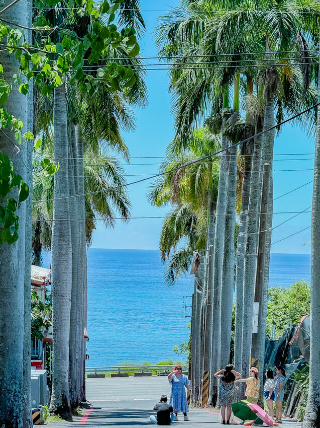 台東縣台東市太麻里金針花海