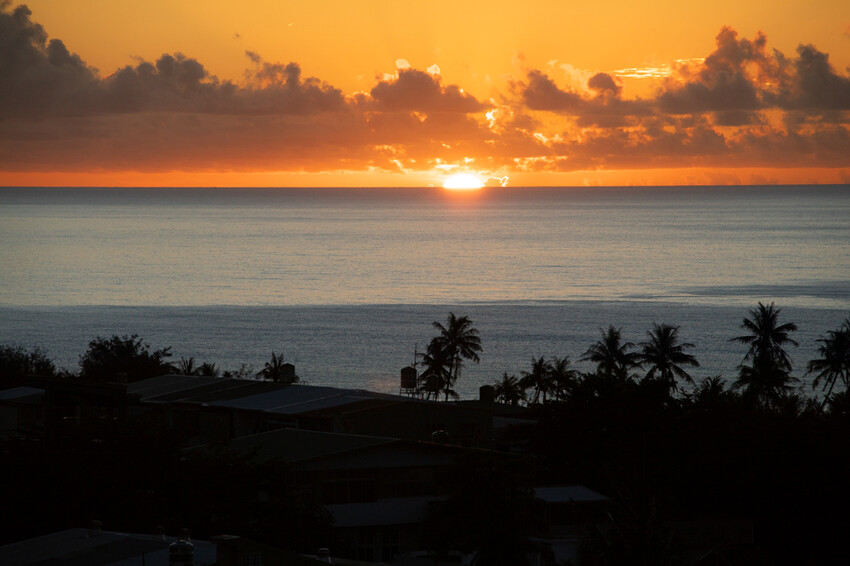 台東縣台東市太麻里金針花海