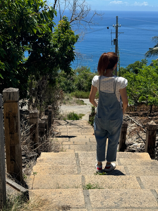 台東縣台東市太麻里金針花海