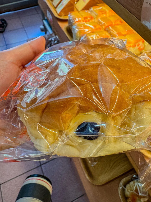 台東縣台東市太麻里金針花海