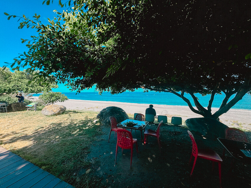 台東縣台東市太麻里金針花海