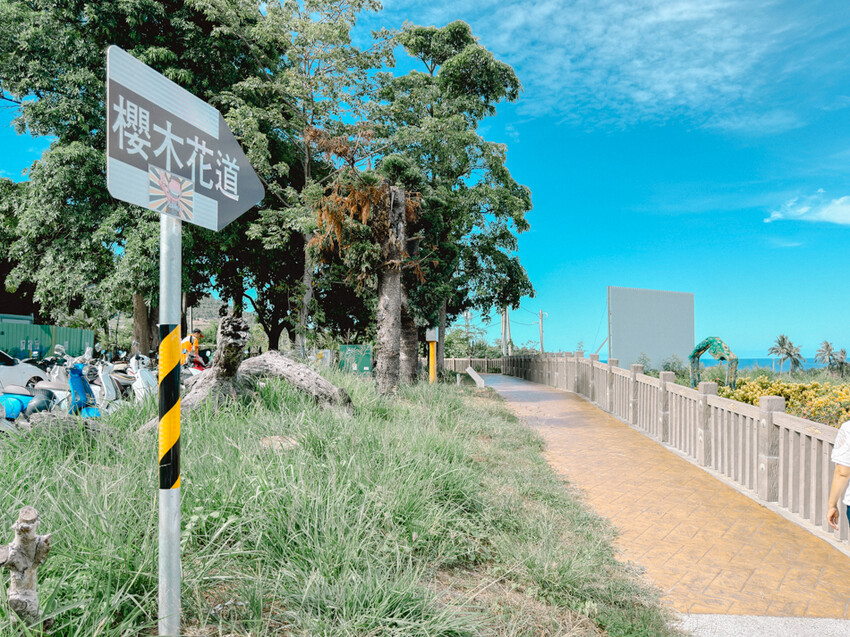 台東縣台東市太麻里金針花海