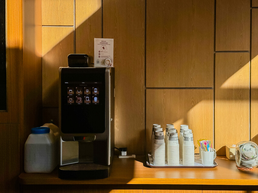 台東縣台東市太麻里金針花海