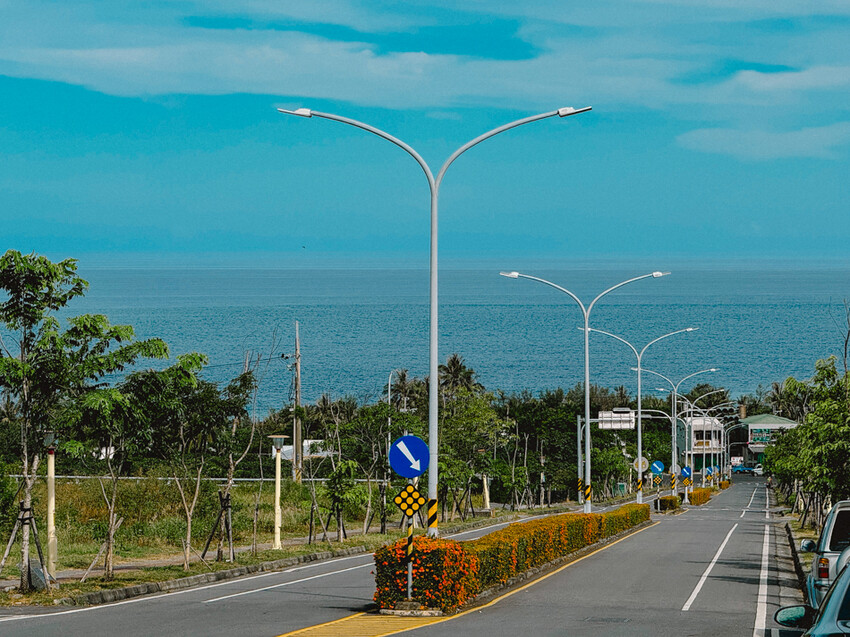 台東縣台東市太麻里金針花海