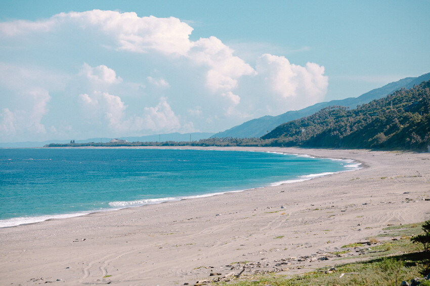 台東縣台東市太麻里金針花海