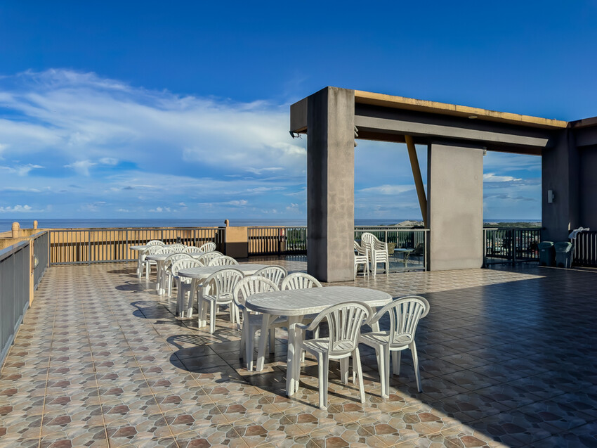 台東縣台東市太麻里金針花海