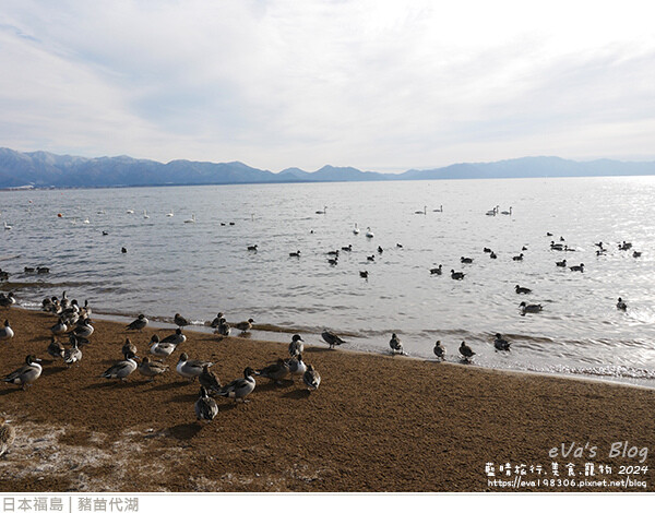 豬苗代湖-14.jpg