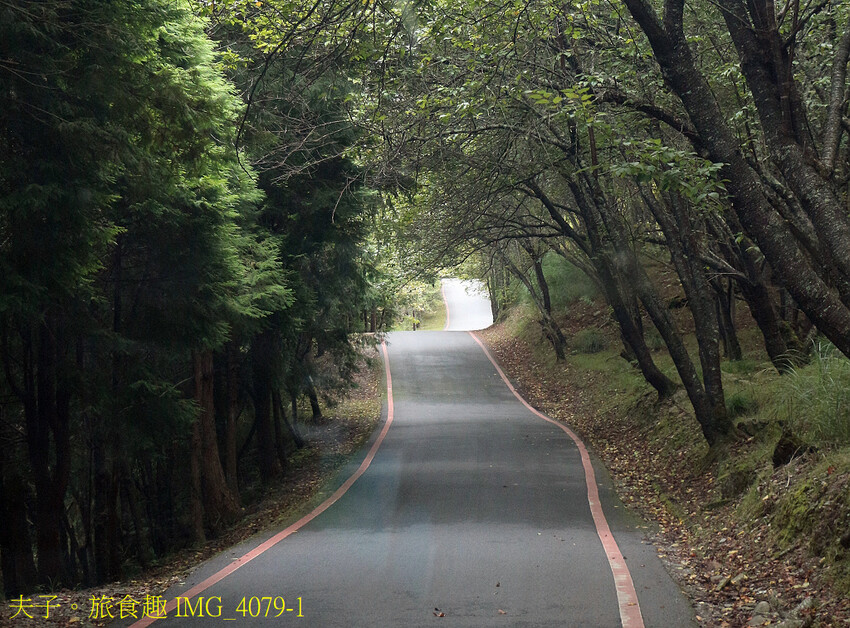 開箱全館整修後的武陵富野渡假村 啟動完全渡假模式