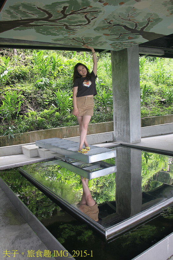 仙湖農場 迎山入目 同框焙灶寮的視野