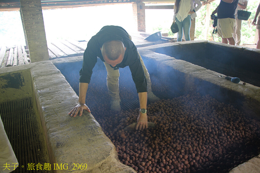 仙湖農場 迎山入目 同框焙灶寮的視野