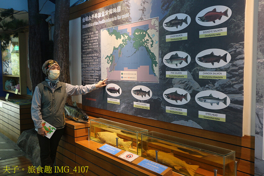 開箱全館整修後的武陵富野渡假村 啟動完全渡假模式