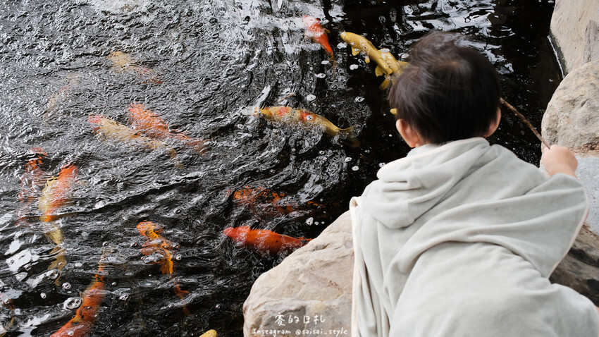 南投縣南投市茶二指故事館｜南投親子景點｜手指與茶的故事，搭配著可愛的園區設計，小朋友來都不願回家！消費滿3000可以