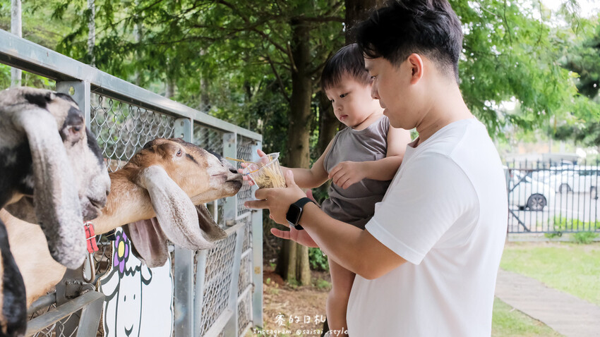 南投縣南投市茶二指故事館｜南投親子景點｜手指與茶的故事，搭配著可愛的園區設計，小朋友來都不願回家！消費滿3000可以