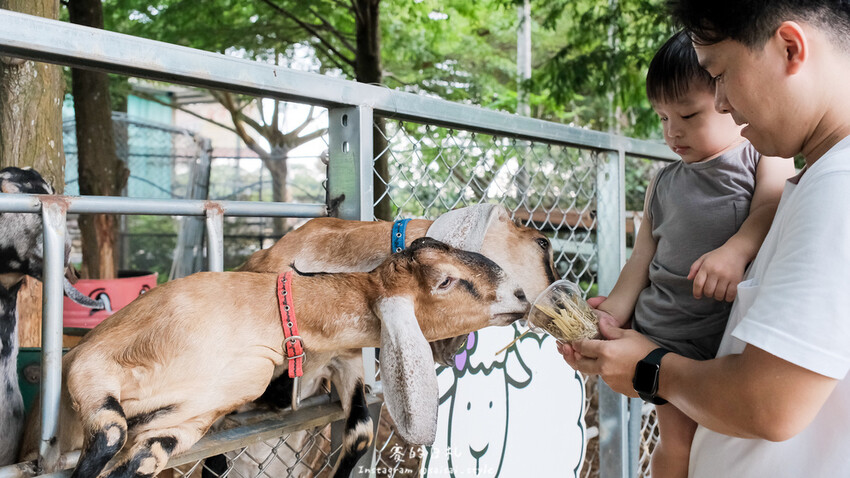 南投縣南投市茶二指故事館｜南投親子景點｜手指與茶的故事，搭配著可愛的園區設計，小朋友來都不願回家！消費滿3000可以