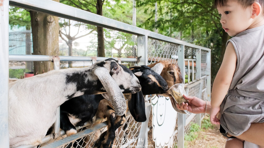 南投縣南投市茶二指故事館｜南投親子景點｜手指與茶的故事，搭配著可愛的園區設計，小朋友來都不願回家！消費滿3000可以